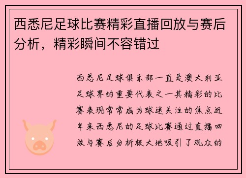 西悉尼足球比赛精彩直播回放与赛后分析，精彩瞬间不容错过